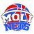 logo MOLI NETS